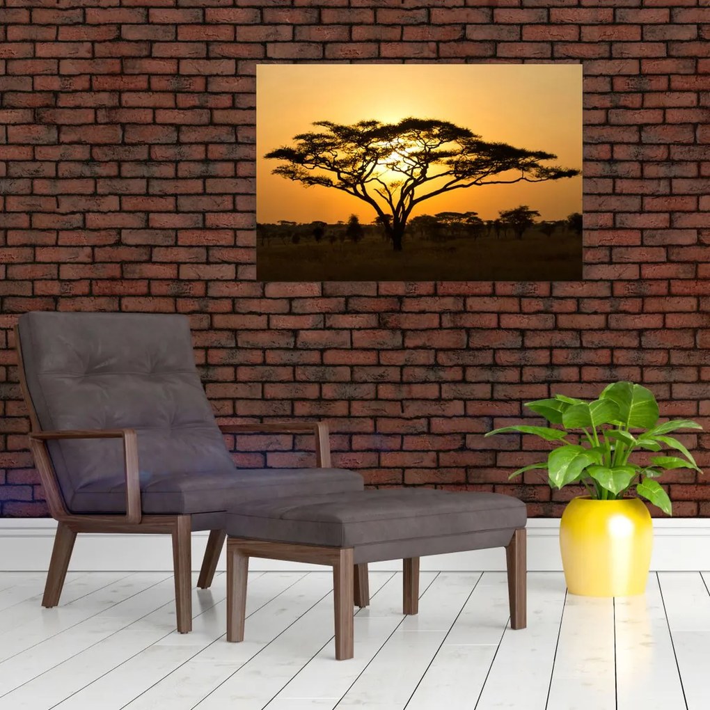 Tablou - Savana africană (90x60 cm)