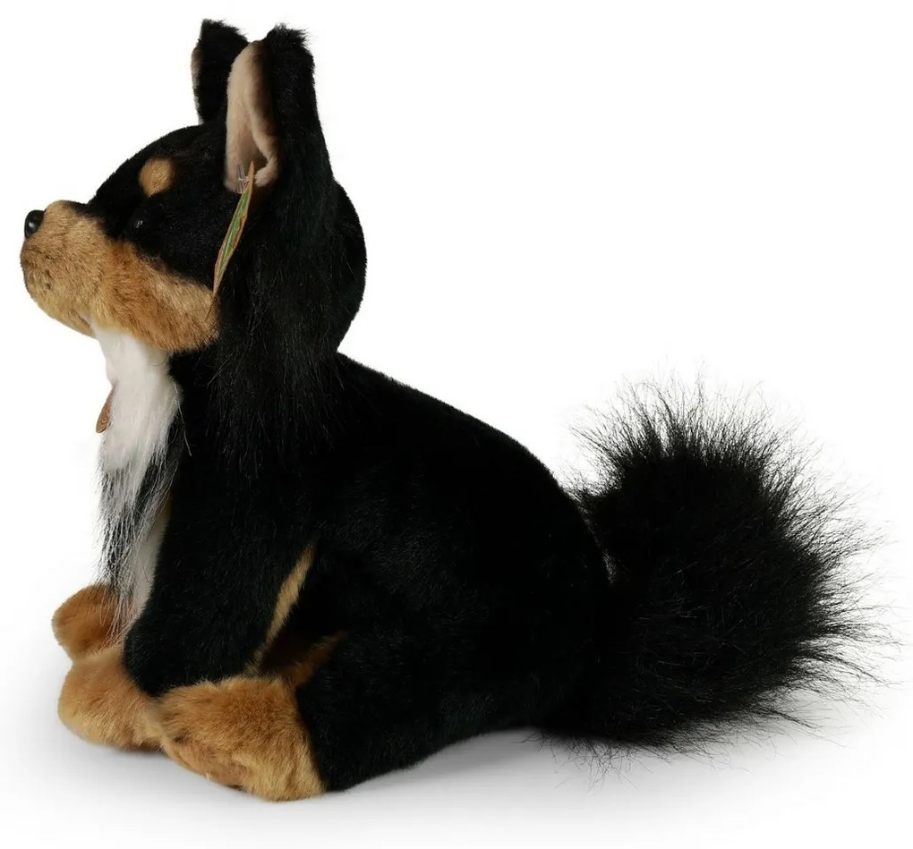 Rappa Câine de pluș Chihuahua ședință, 24 cmECO-FRIENDLY