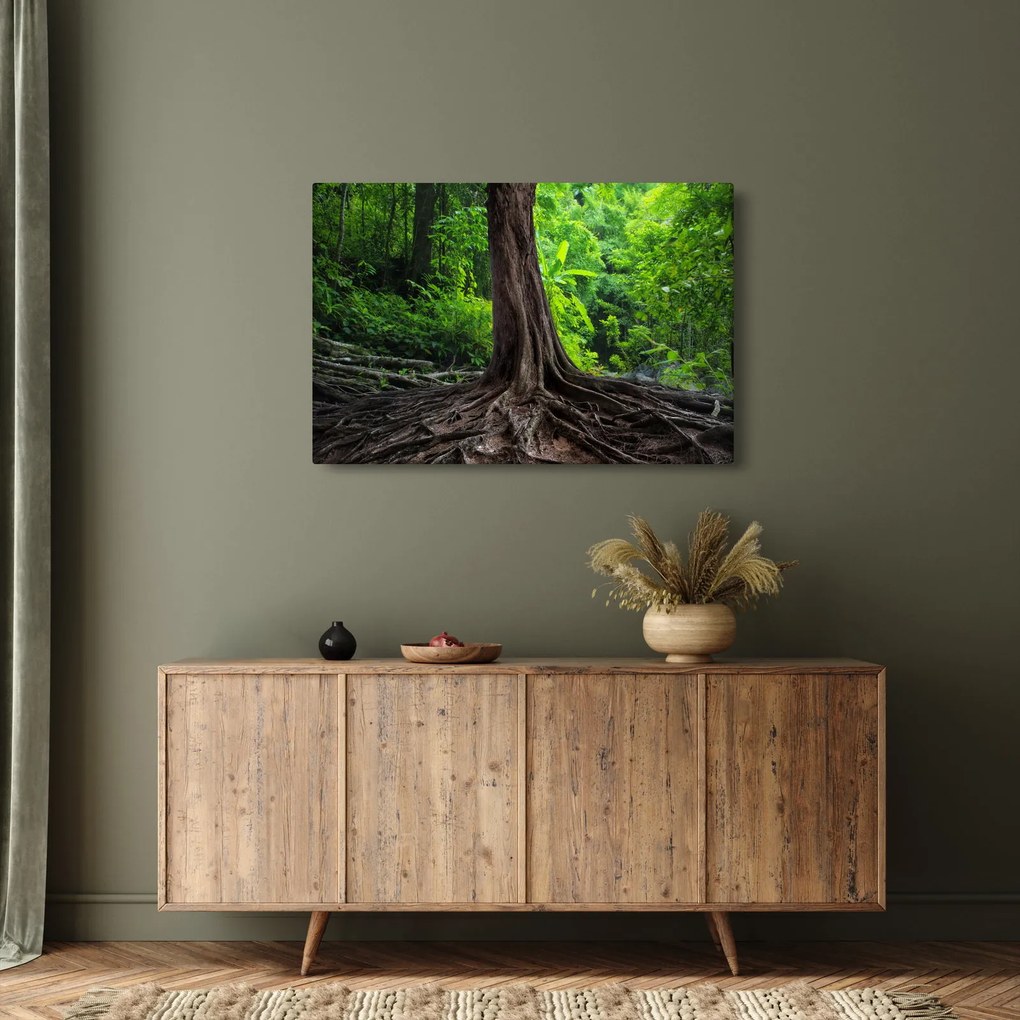 Tablou - Copac bătrîn cu rădăcini (90x60 cm)