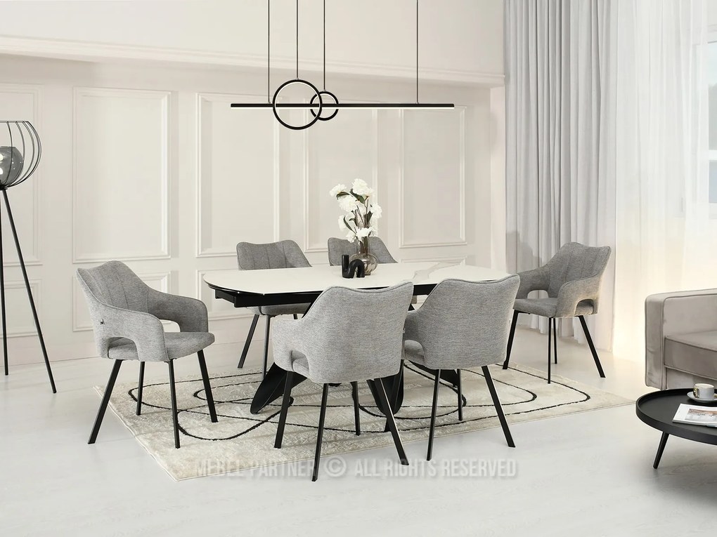 Scaun Carl (gri + negru). 1111024