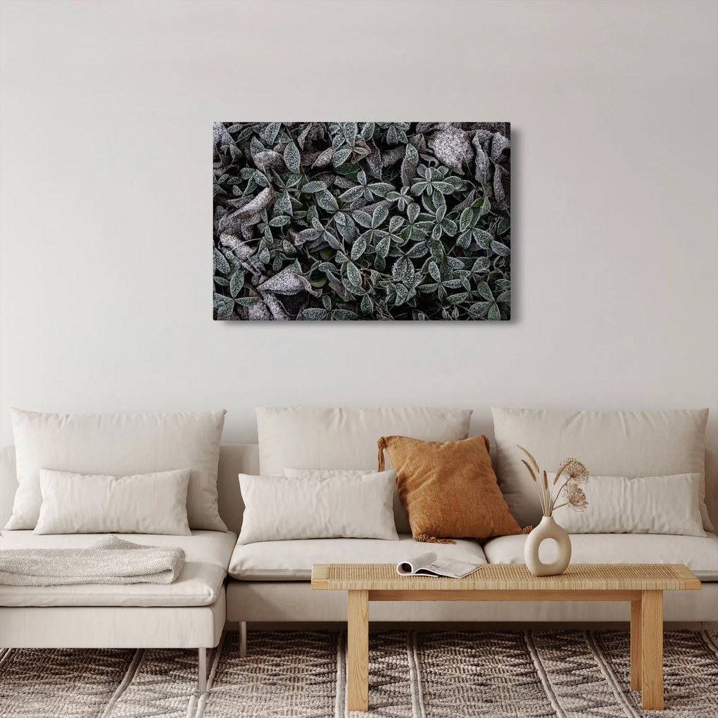 Tablou - Plante înghețate (90x60 cm)