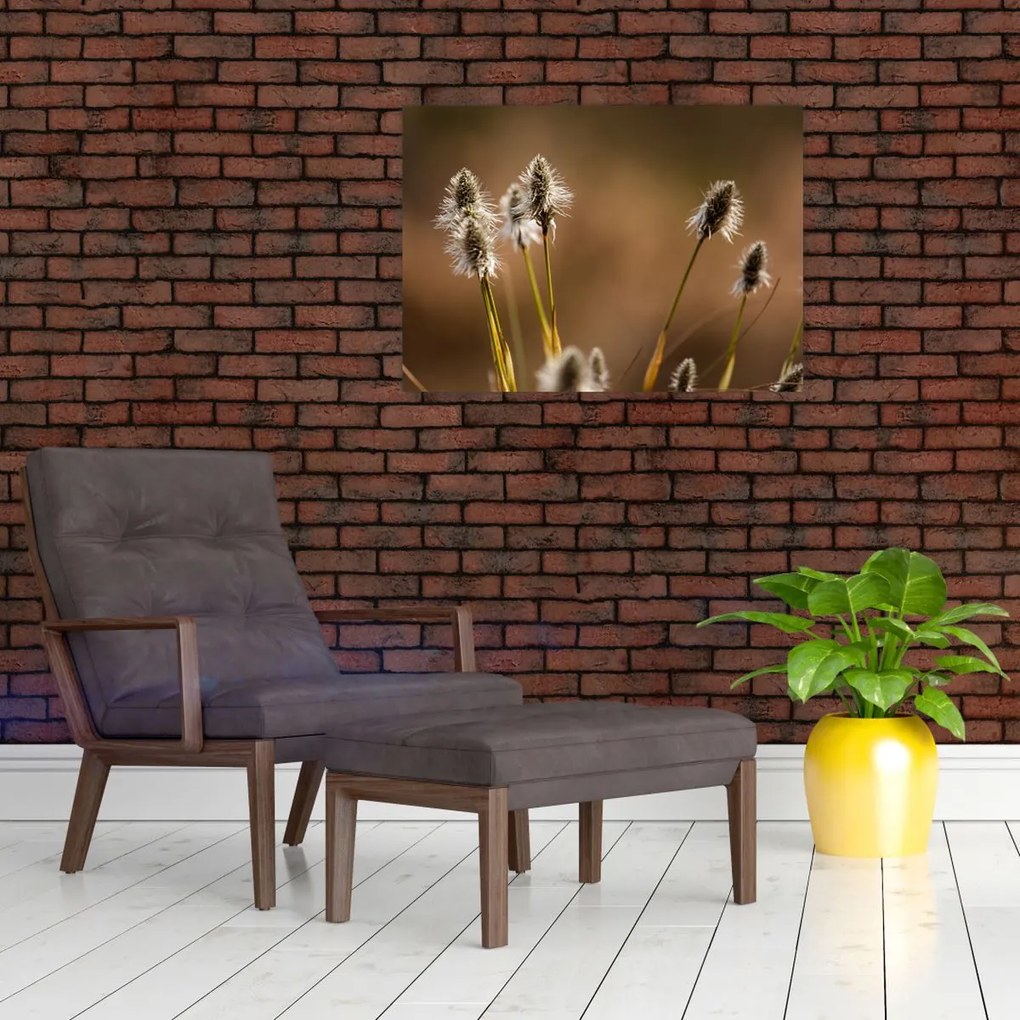 Tablou - Iarbă (70x50 cm)