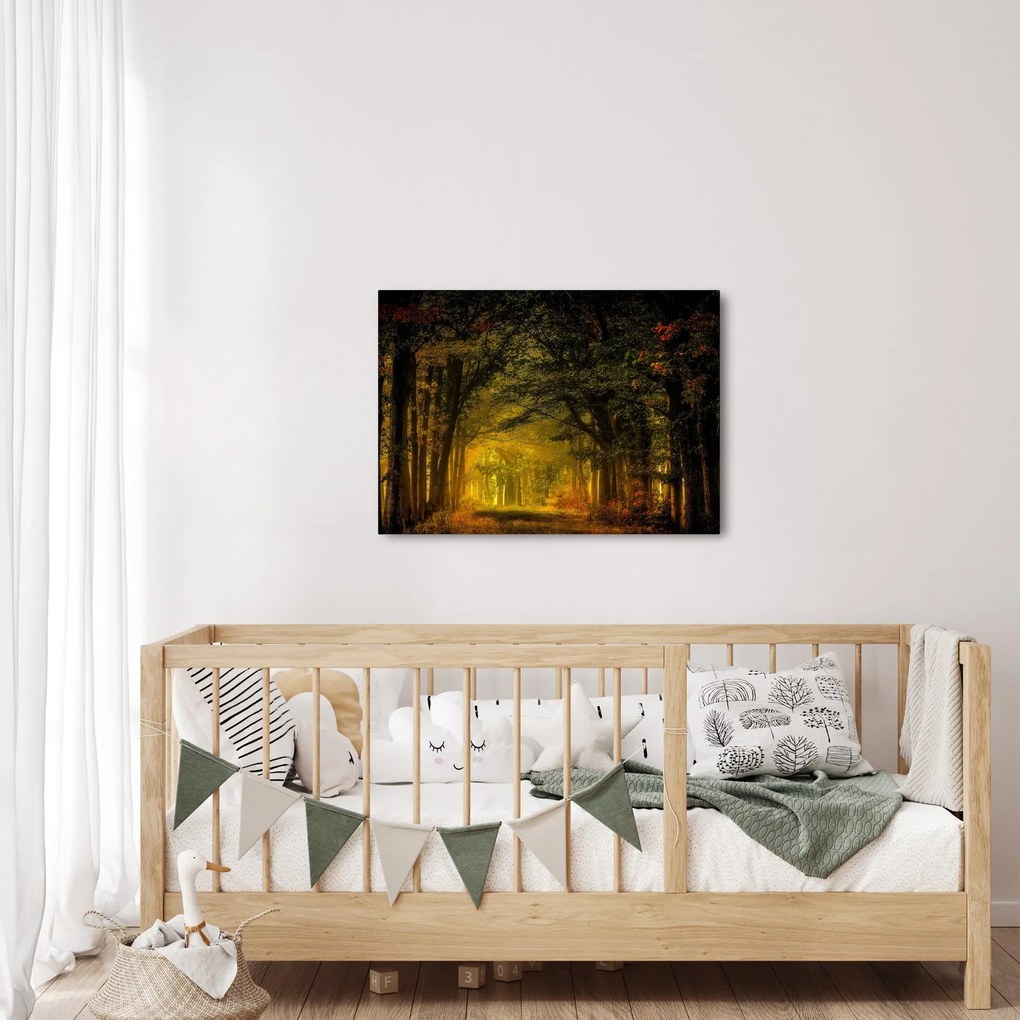 Tablou cu pădure (70x50 cm)