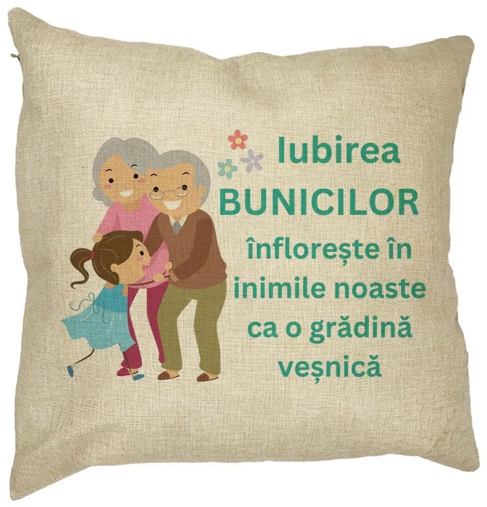 Perna Decorativa pentru Bunici 6, 40x40 cm, Husa Detasabila, Burduf