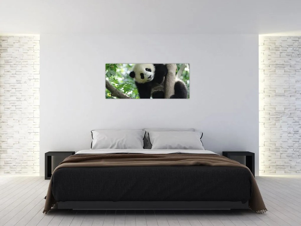 Tablou - Panda in copac (120x50 cm)
