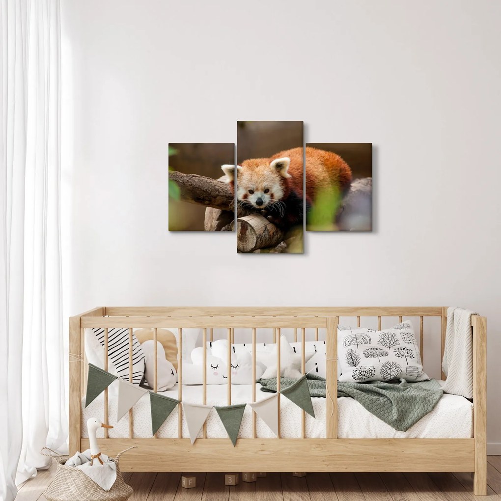 Tablou cu panda roșie (90x60 cm)