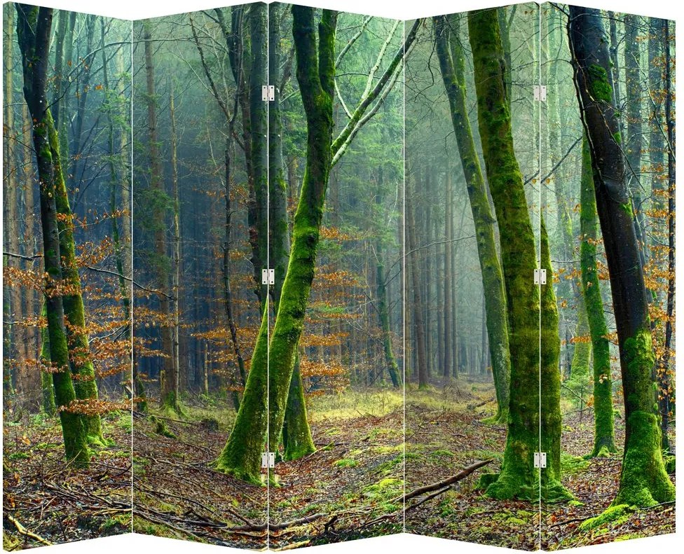 Paravan - Pădure (210x170 cm)