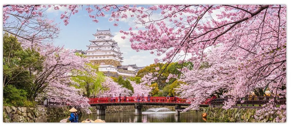 Tablou cu cireș japonez (120x50 cm)