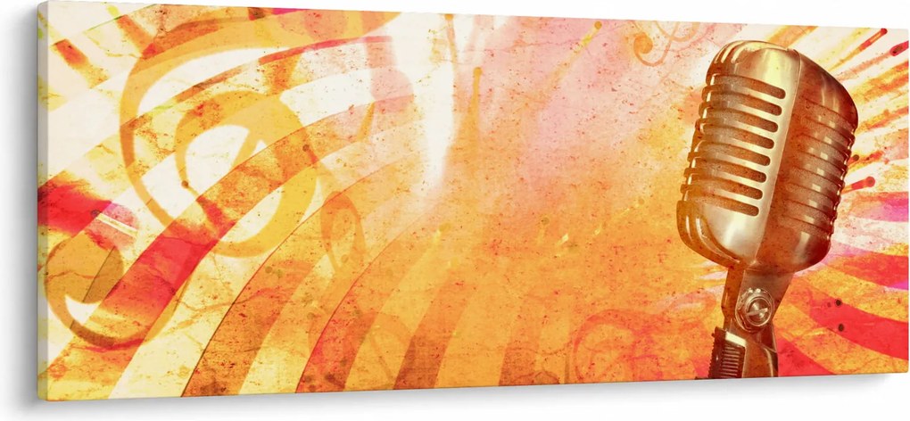 Tablou - Microfon retro (120x50 cm)