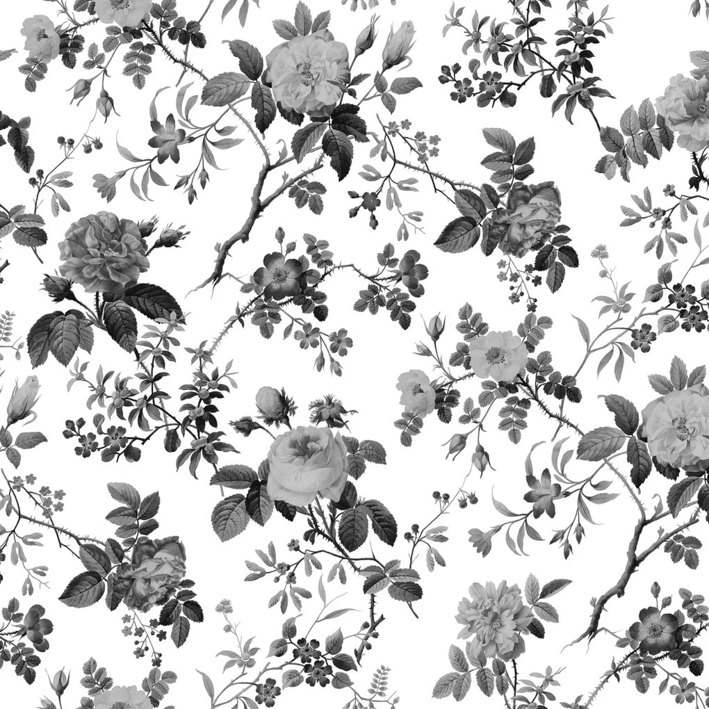 Fototapet, Thorn Rose, Graphite, Rebel Walls