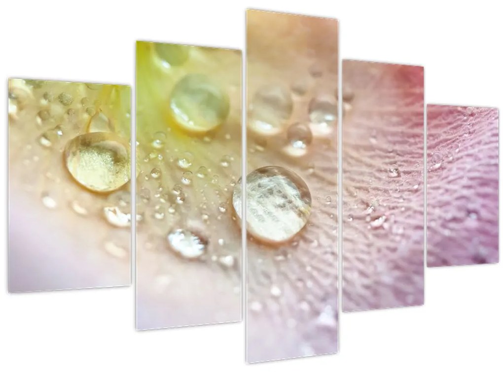 Tablou - Picături (150x105 cm)