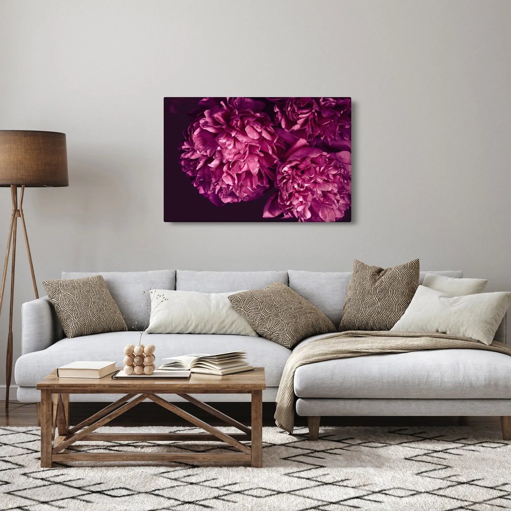 Tablou - Floarea bujorului (90x60 cm)