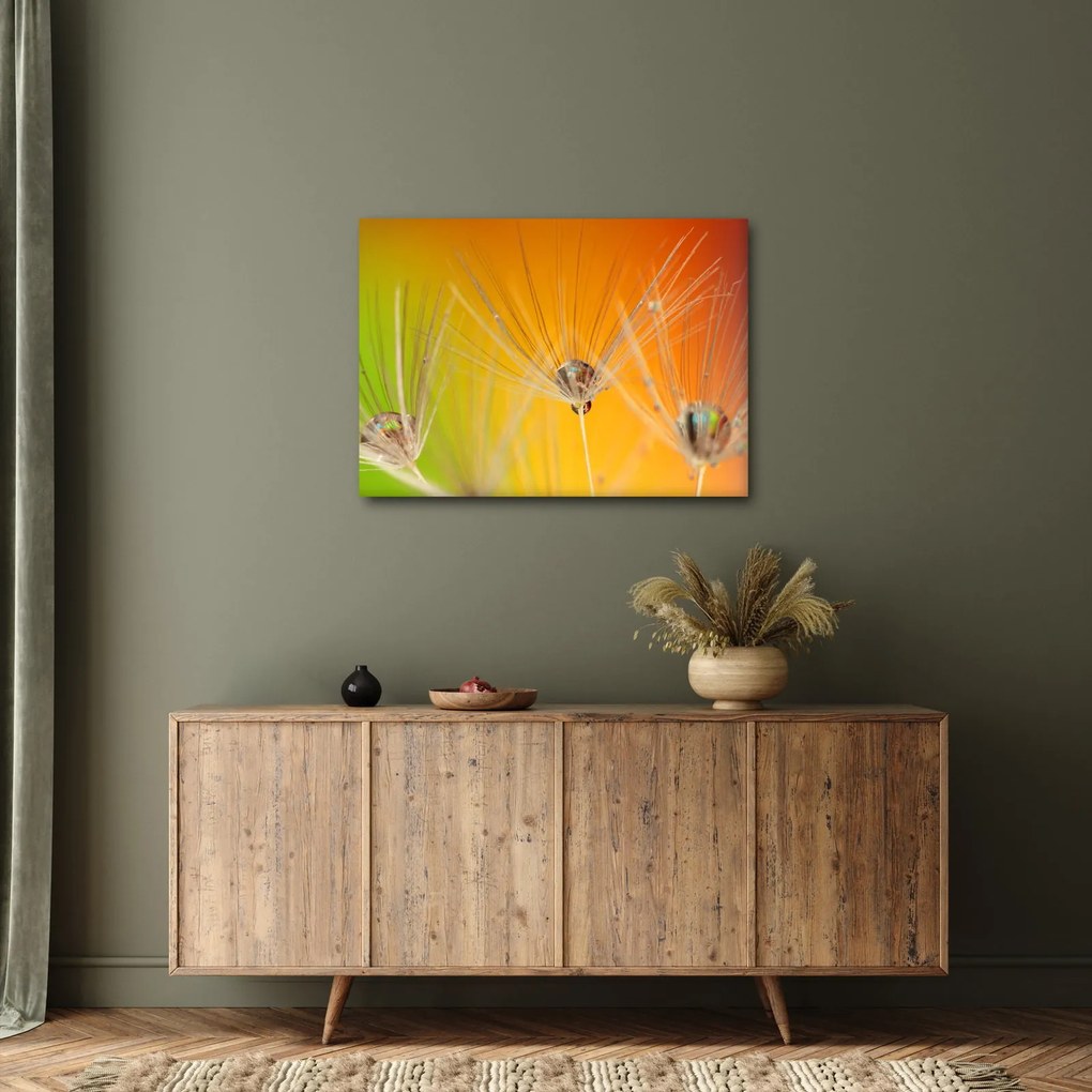 Tablou cu picături pe plantă (70x50 cm)