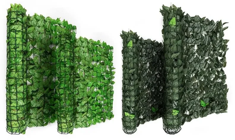 Fency Bright Leaf, verde deschis, fag, gard - protecție împotriva vântului 300 x 100 cm