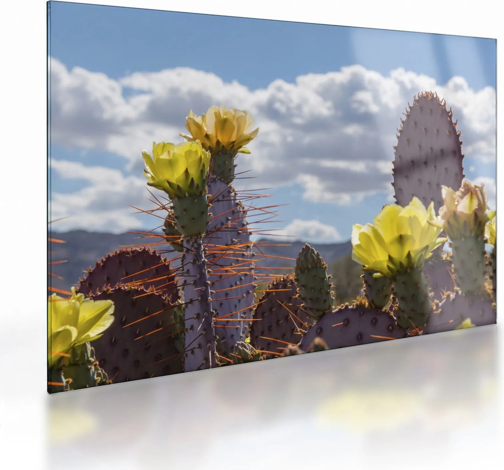 Tablou pe sticlă cu floarea de cactus Opunție (70x50 cm)