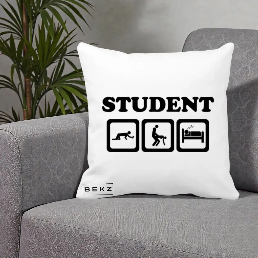 Perna Decorativa Student Life, 40x40 cm, Alba Mata, Husa Detasabila, Perna Inclusa, BEKZ®