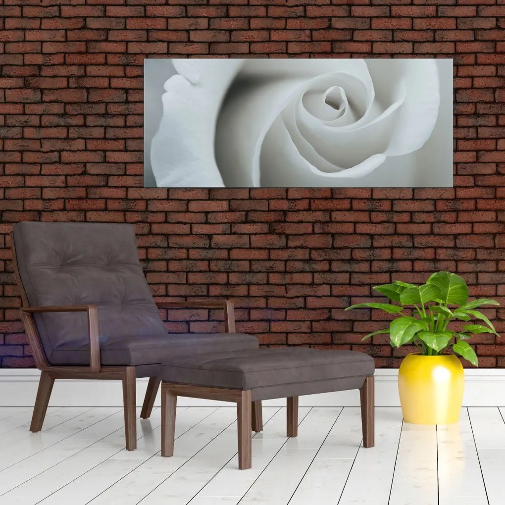 Tablou - Trandafirul alb (120x50 cm)