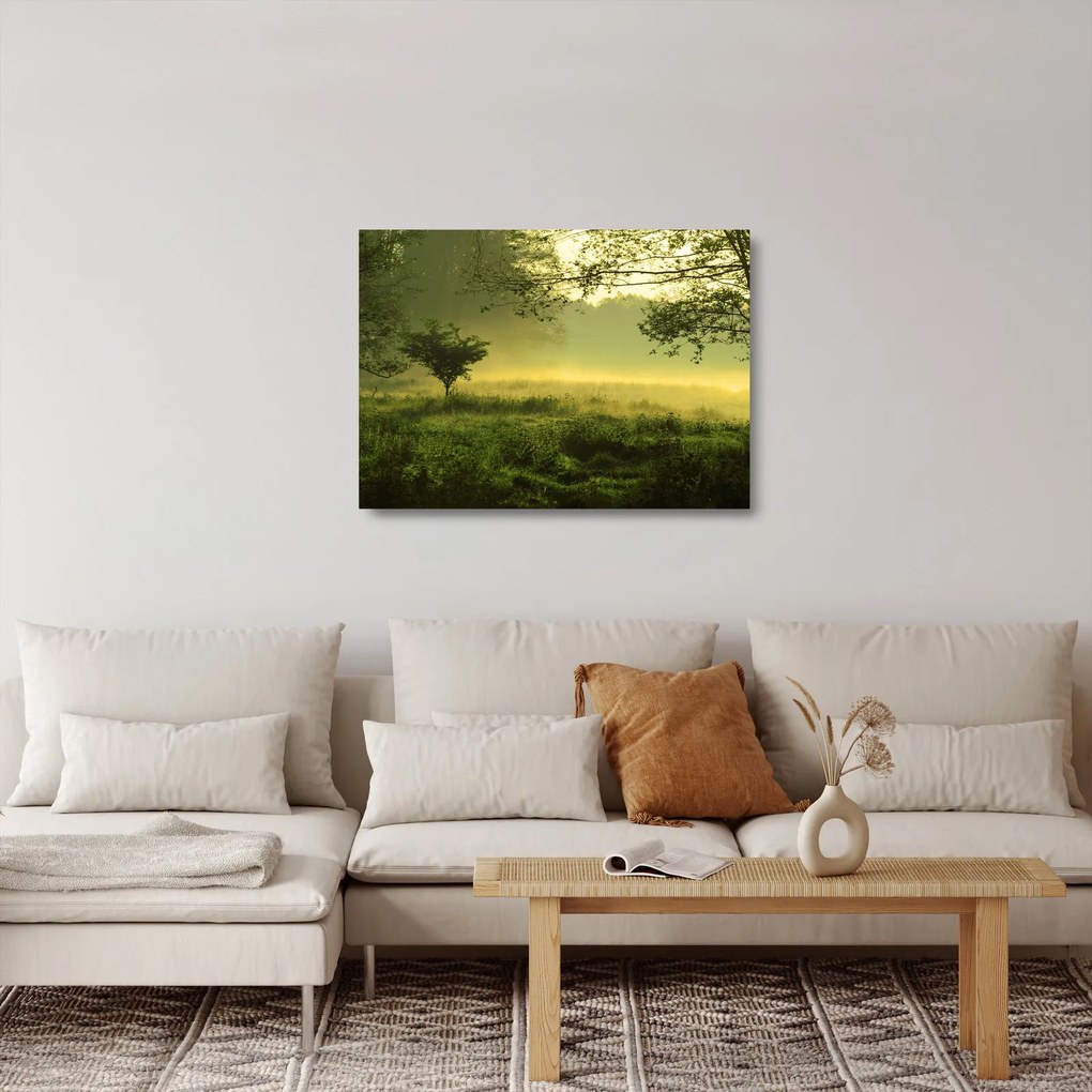 Tablou pe sticlă - Pădurea trezită (70x50 cm)