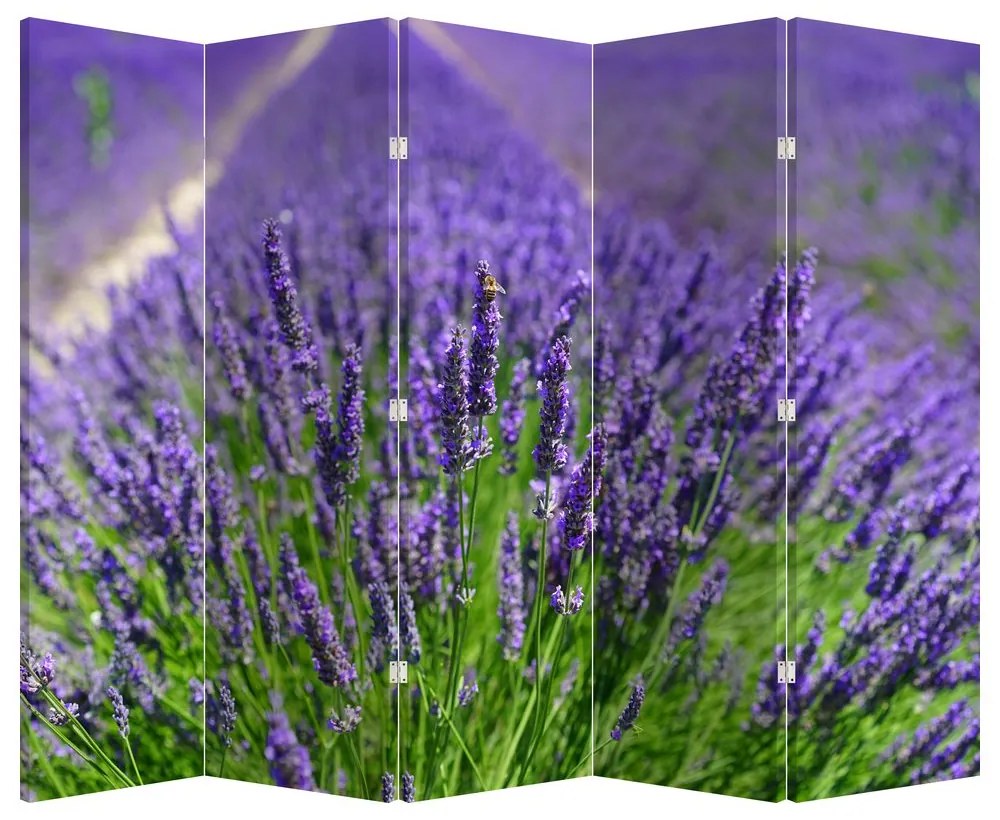 Paravan - Lavanda (210x170 cm)