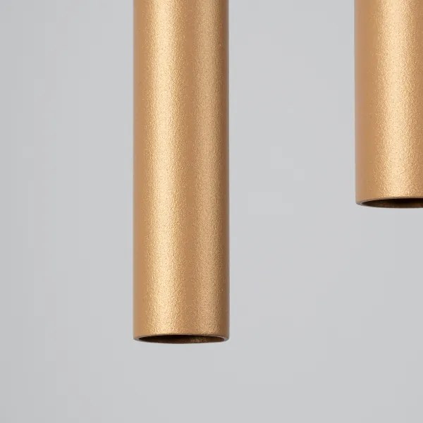 Lustră pe cablu Sollux SL.1305 PASTELO 2xG9/8W/230V auriu