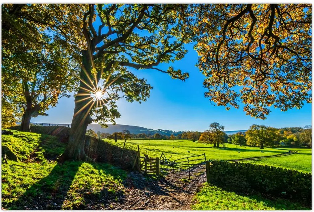 Tablou Privire la câmp (90x60 cm)