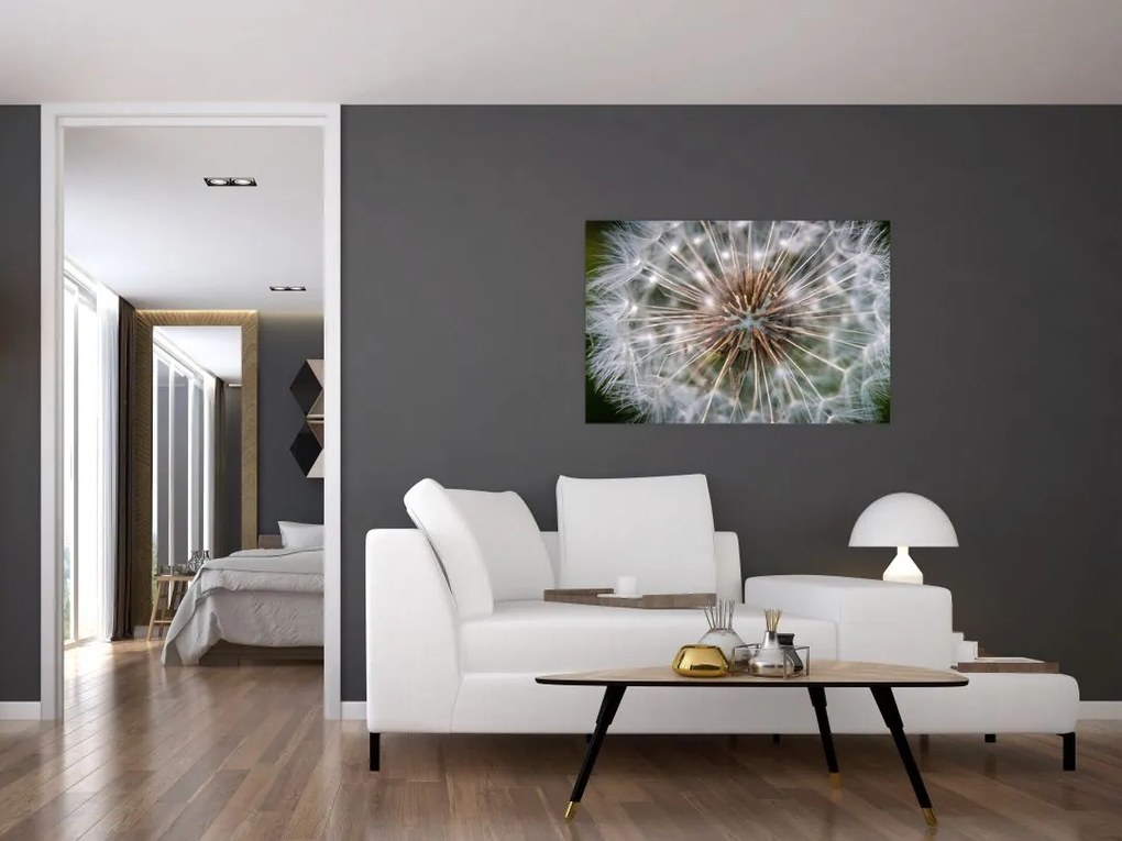 Tablou cu păpădie (90x60 cm)