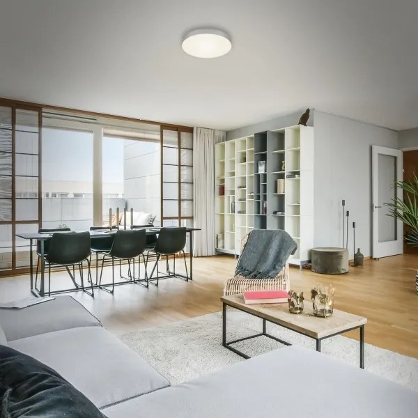 Plafonieră LED FLAME LED/16W/230V argintiu Briloner 7065-014