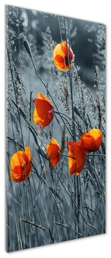 Imagine de sticlă wildflowers maci