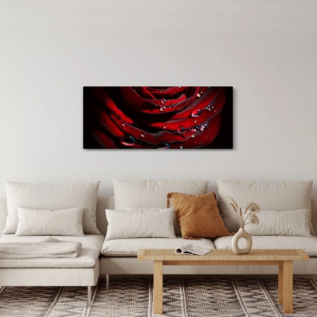 Tablou - Trandafir (120x50 cm)