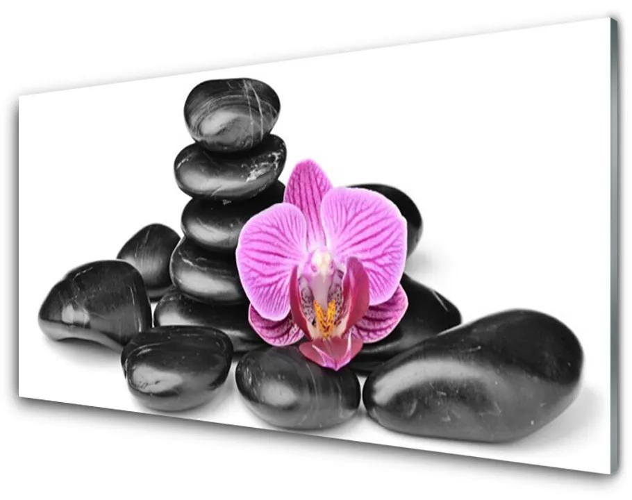Tablou pe sticla acrilica Pietrele de flori Arta roz negru