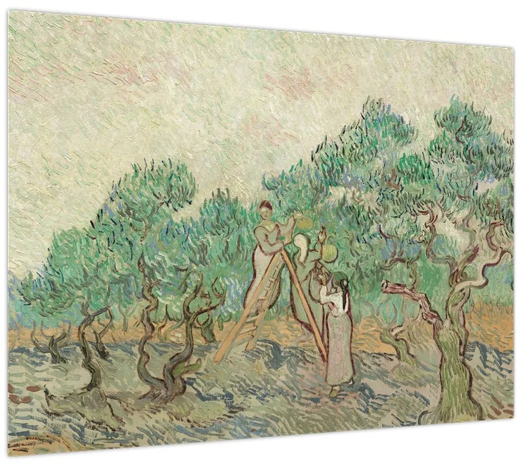 Tablou pe sticlă - Vincent van Gogh, The Olive Orchard, reproducere (70x50 cm)