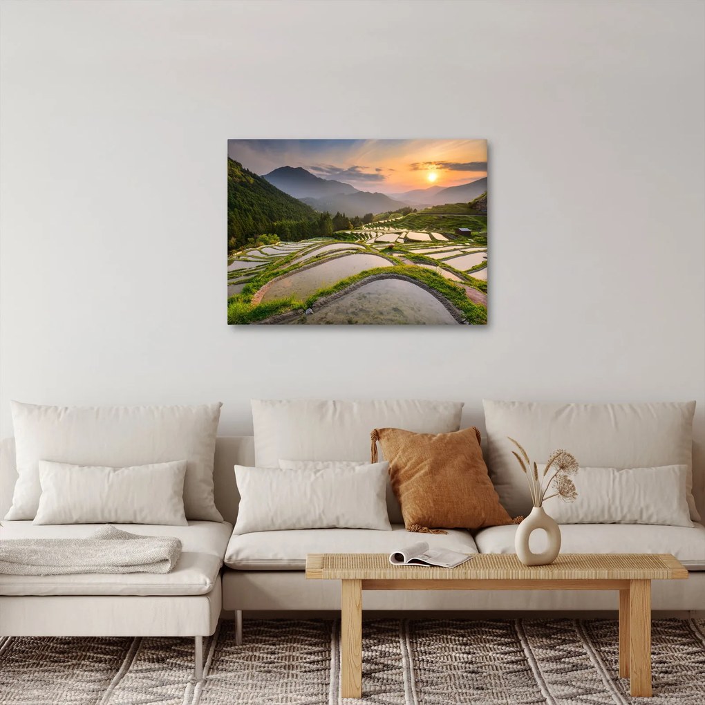Tablou - Terase de orez (70x50 cm)