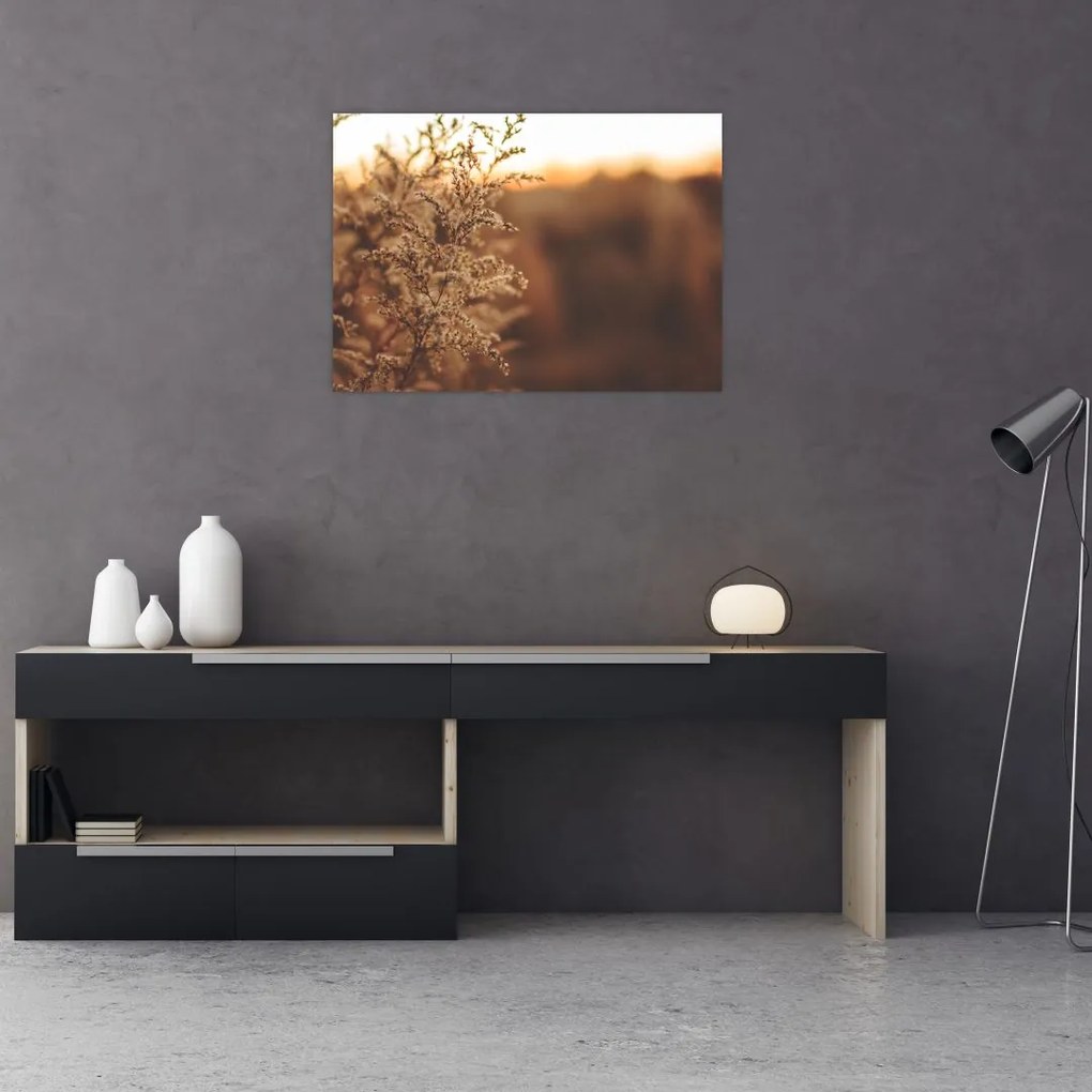 Tablou - Iarba înflorită (70x50 cm)