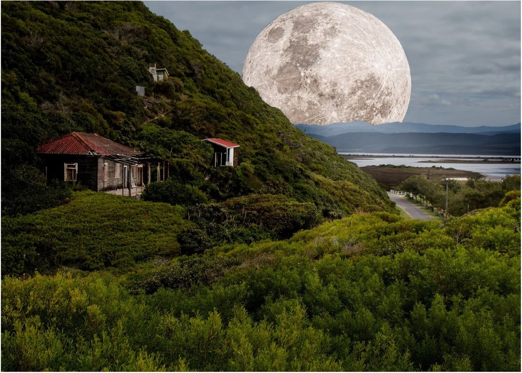 Tablou - peisaj cu luna (70x50 cm)
