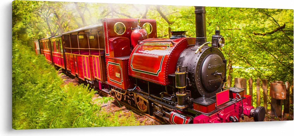 Tablou - Tren cu aburi (120x50 cm)