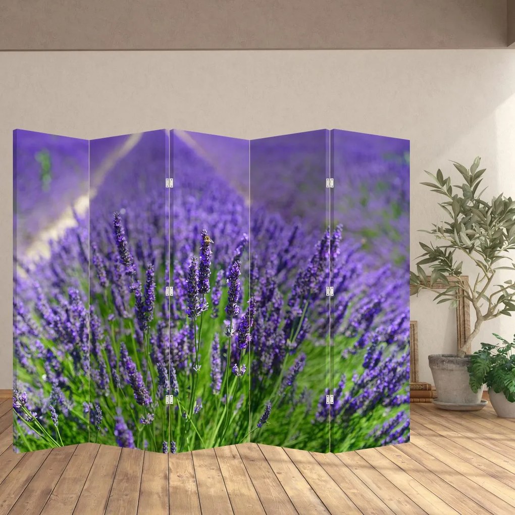 Paravan - Lavanda (210x170 cm)