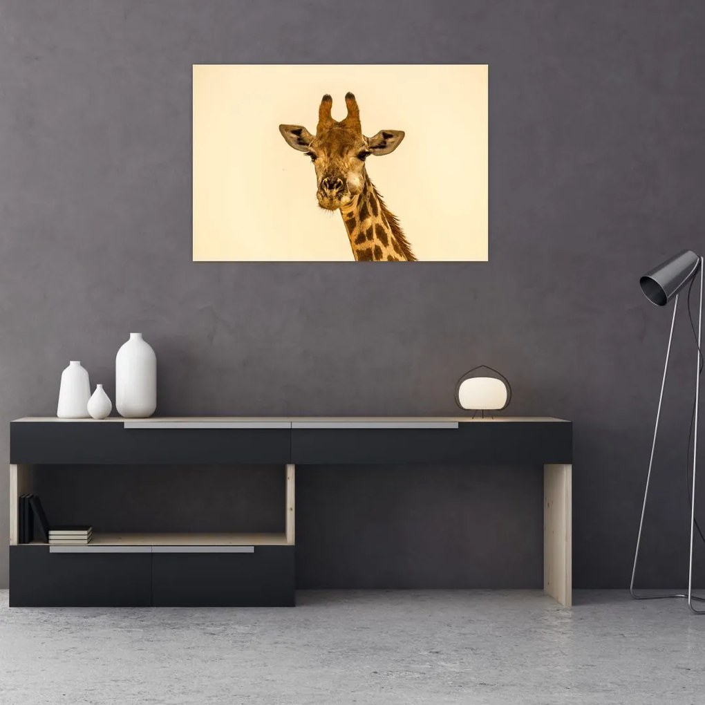 Tablou cu girafe (90x60 cm)
