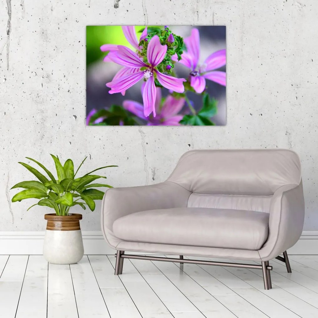 Tablou pe sticlă cu floarea detailat (70x50 cm)