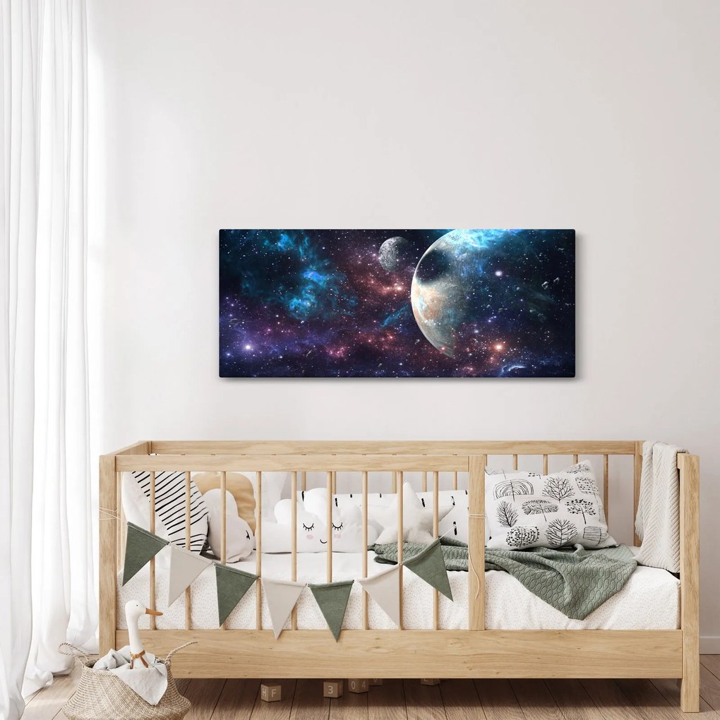 Tablou cu cosmos (120x50 cm)