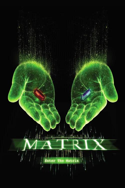 Poster de artă Matrix - Choose your path