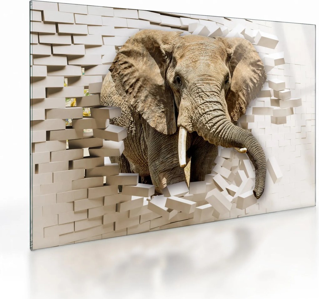 Tablou pe sticlă - Elefant spârgând peretele (70x50 cm)