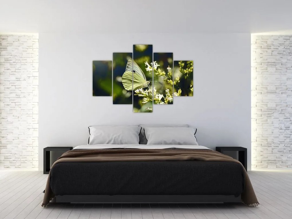 Tablou cu fluture (150x105 cm)