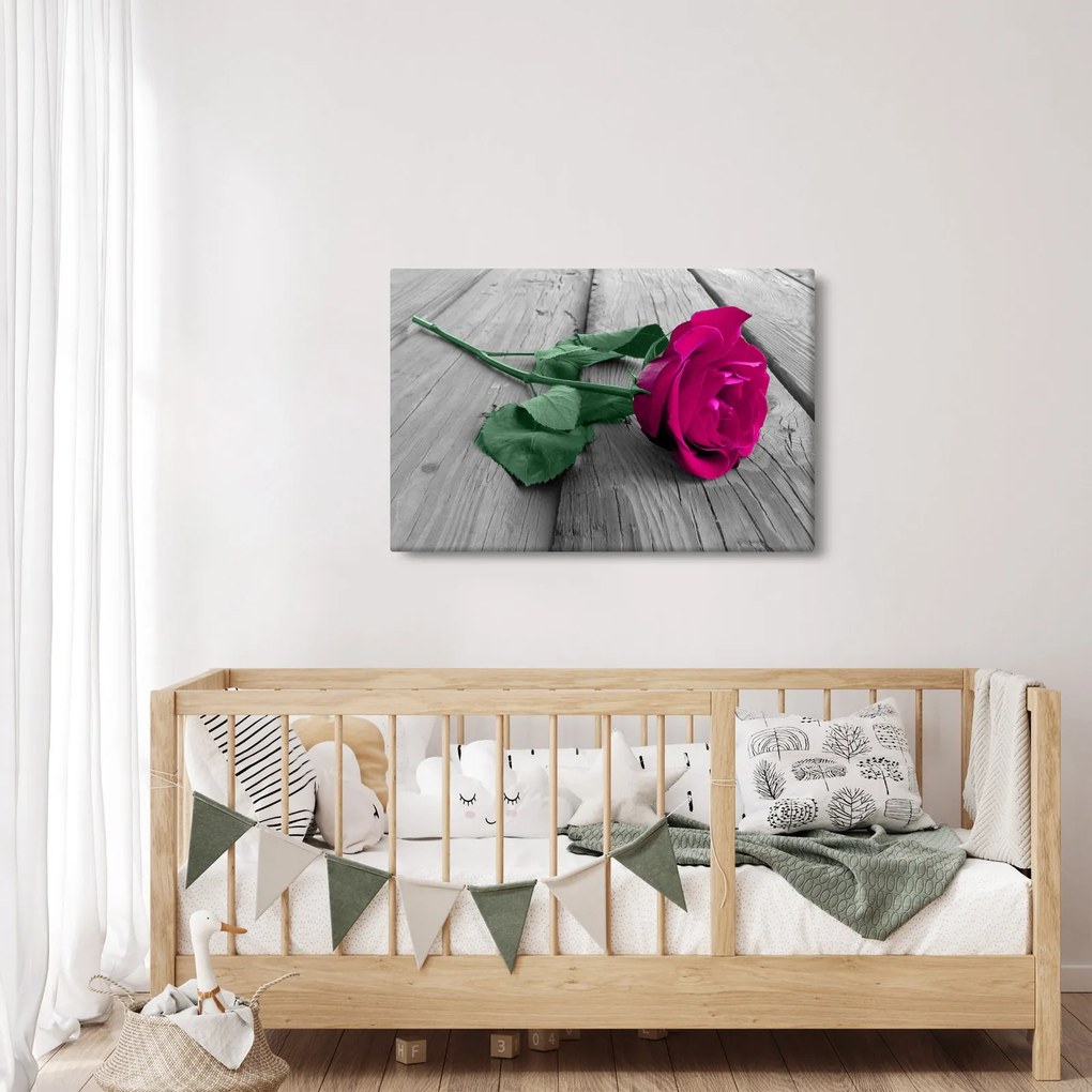 Tablou - Trandafir roz cu tulpina verde (90x60 cm)
