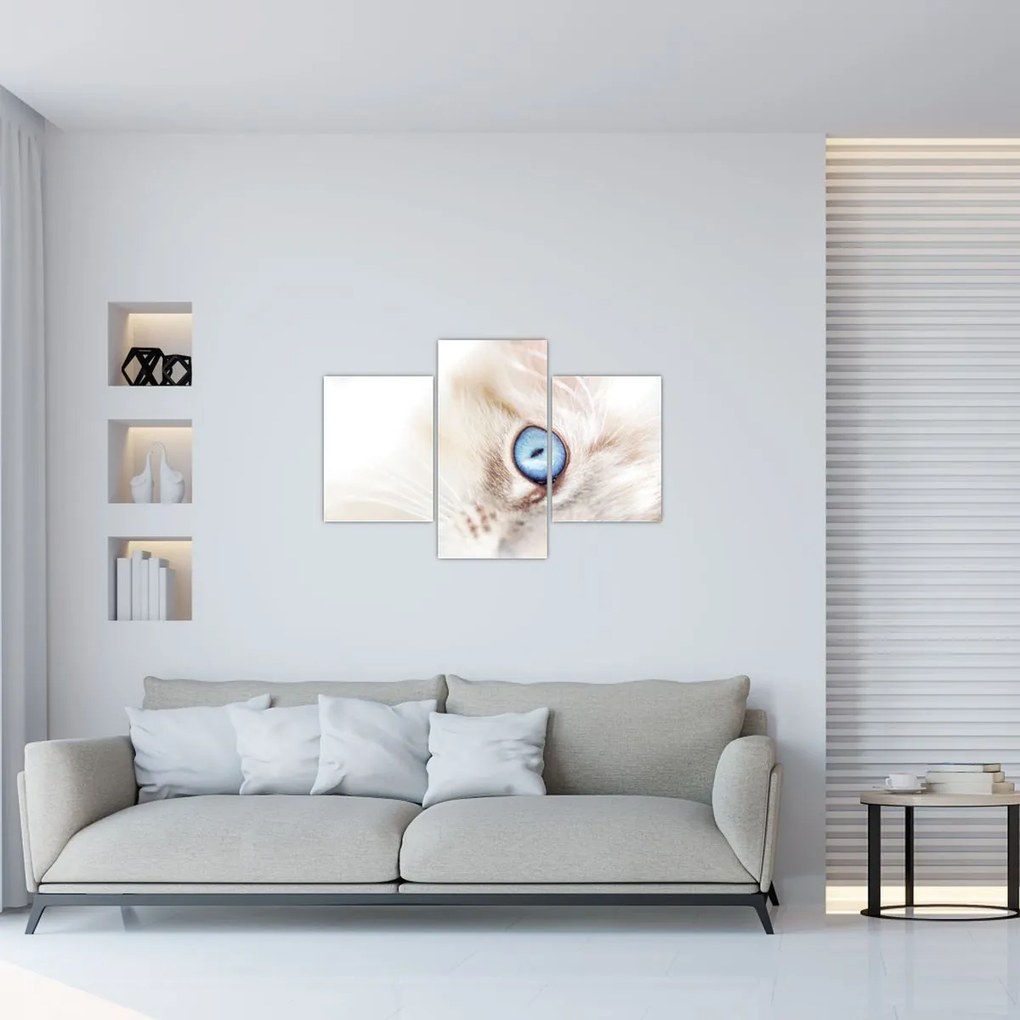 Tablou - Pisicuță (90x60 cm)