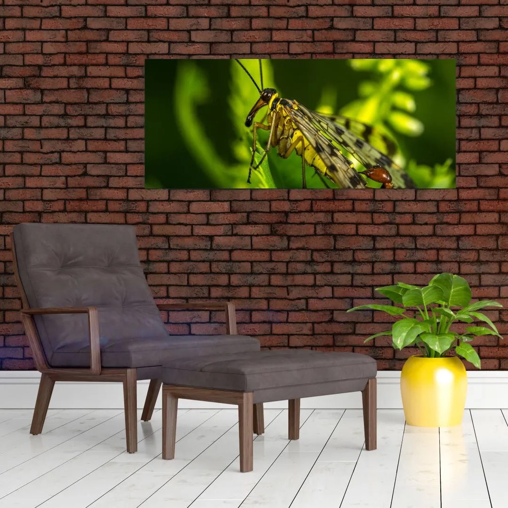 Tablou cu omide (120x50 cm)