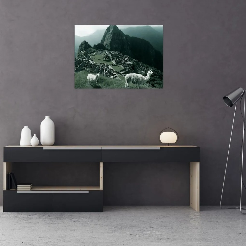 Tablou pe sticlă - Lamas la Machu Picchu în Peru (70x50 cm)
