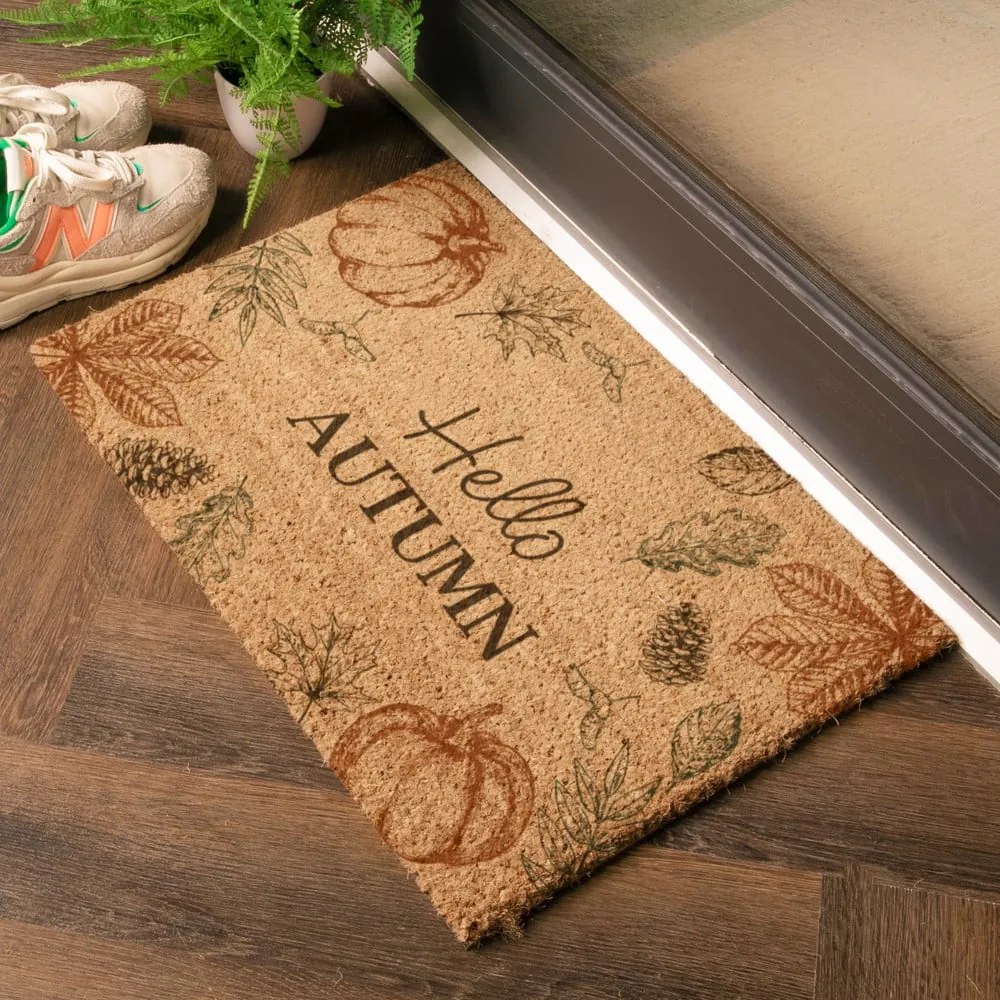 Covoraș de intrare din fibre de nucă de cocos 40x60 cm Hello Autumn – Artsy Doormats