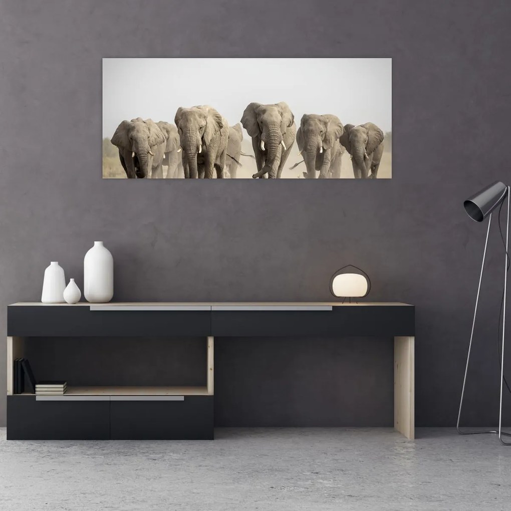Tablou - Turmă de elefanți (120x50 cm)