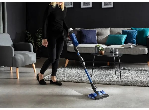 Rowenta - Aspirator vertical X-FORCE FLEX 250W/18V