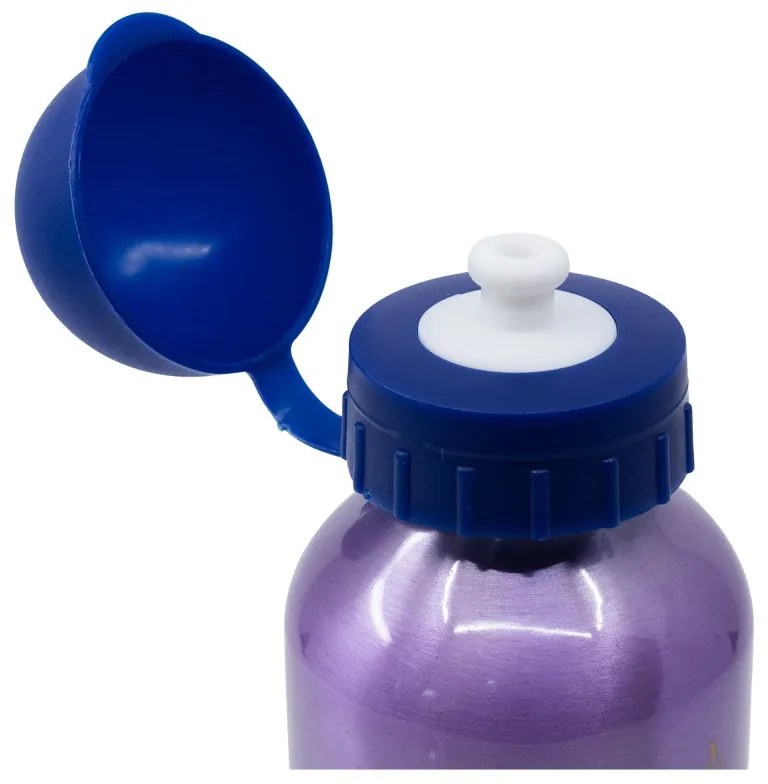 Disney Regatul de gheață Trust The Jurney sticlă de aluminiu 400 ml
